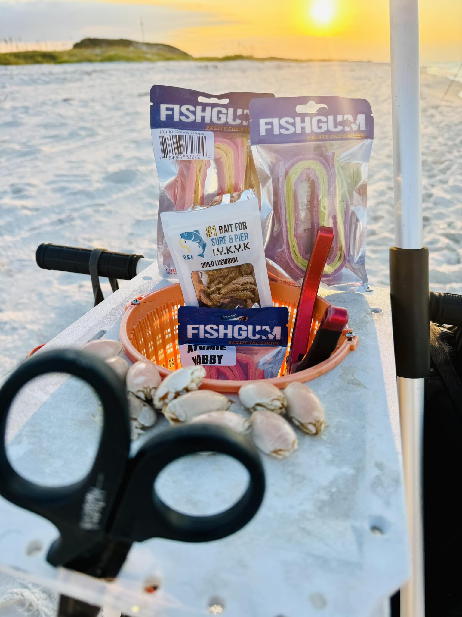 Pompano Rigs 6-Pack Custom Saltwater Fishing Rigs - For Pompano ...