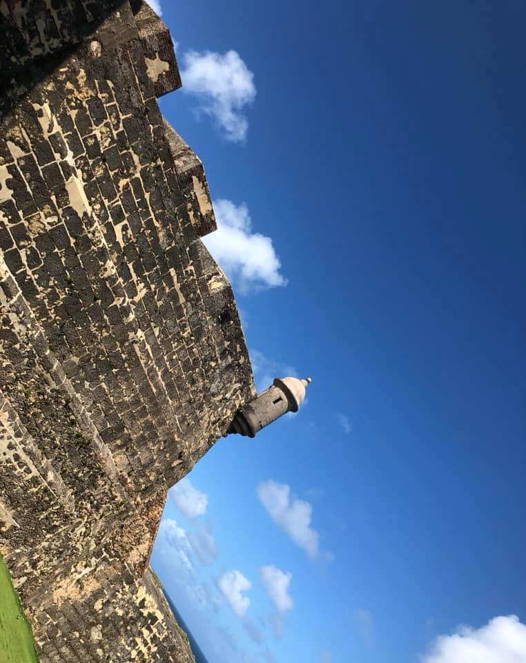 ¡Descubrimiento de Puerto Rico 🇵🇷!... - Immuno Reference Lab