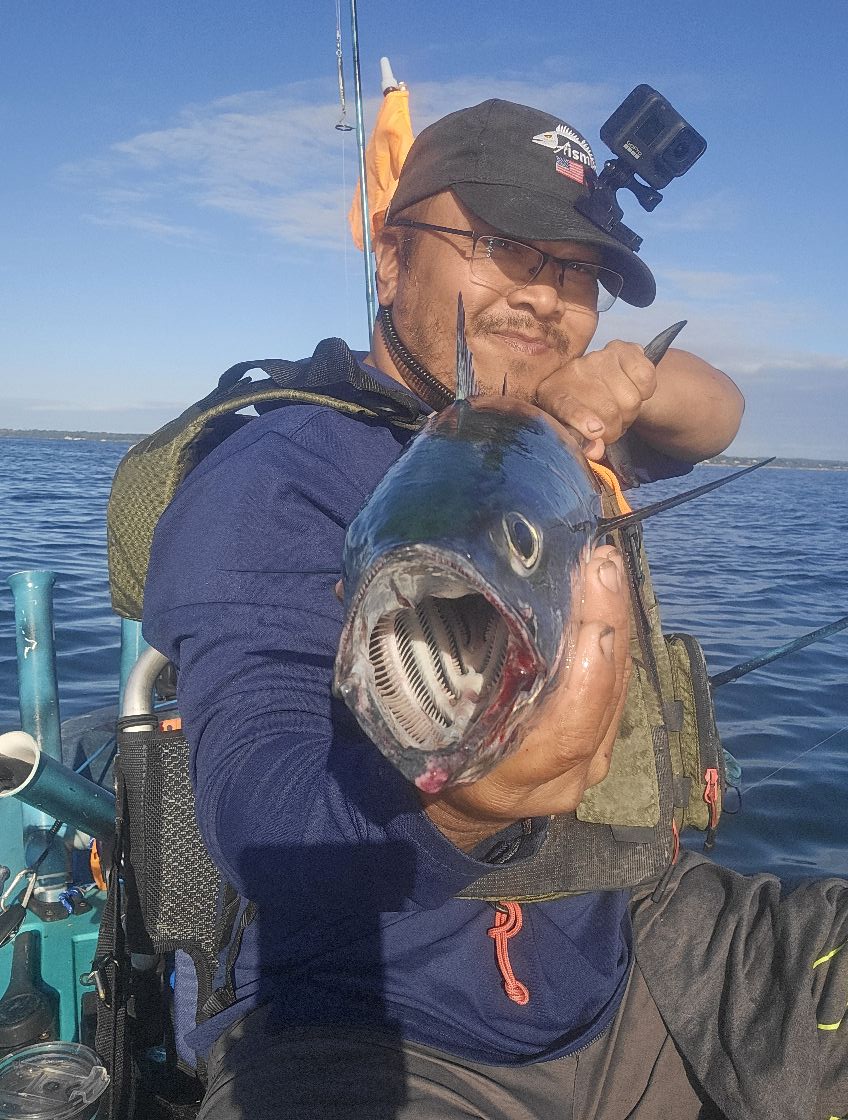 bulldog fishing lure Z2 – Dark Horse Tackle Daiwa Aird Bcf Rods Style:Silver+ Black One of the most Subcategory:Casting Rods