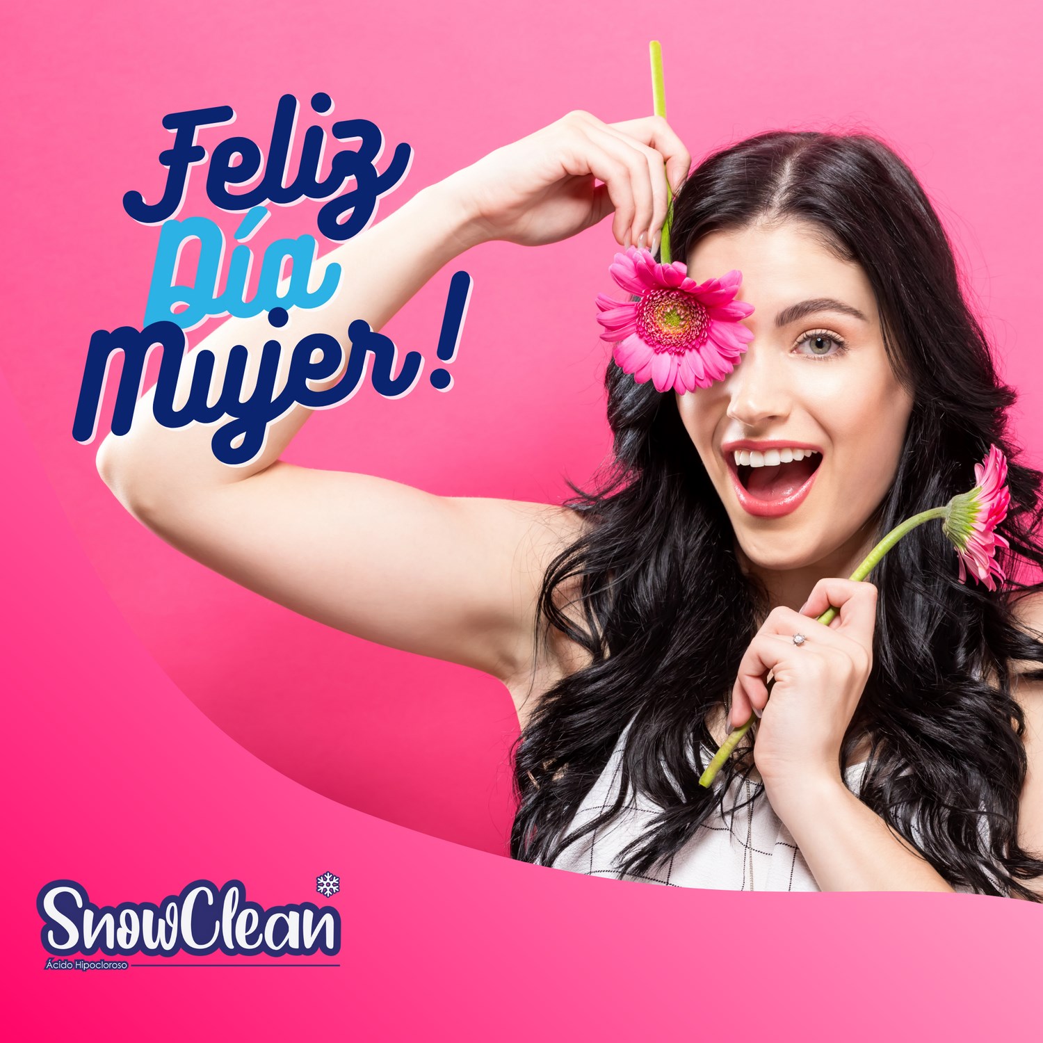 Snow Clean Desinfectante