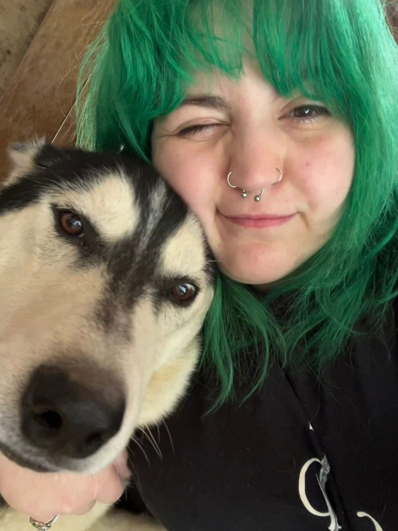 🐾🐾 SHARING…LOST HUSKY, North Royalton, Ohio near York and Julia