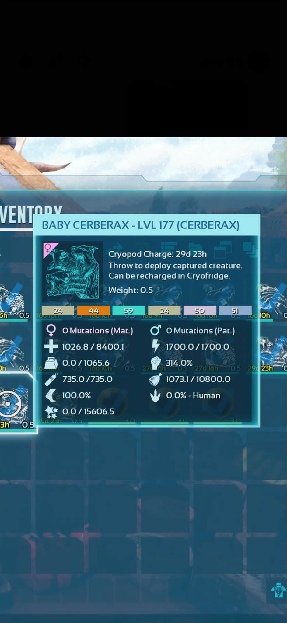 Hex market prices on ARK server 5673
