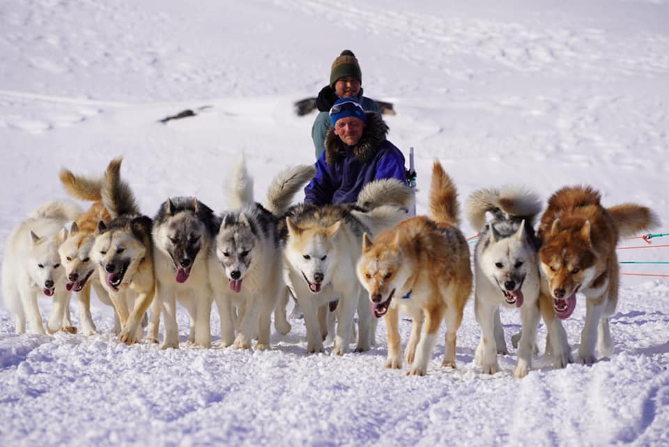 Inuk Adventure - Kom med på hundeslædetur med en af... | Facebook