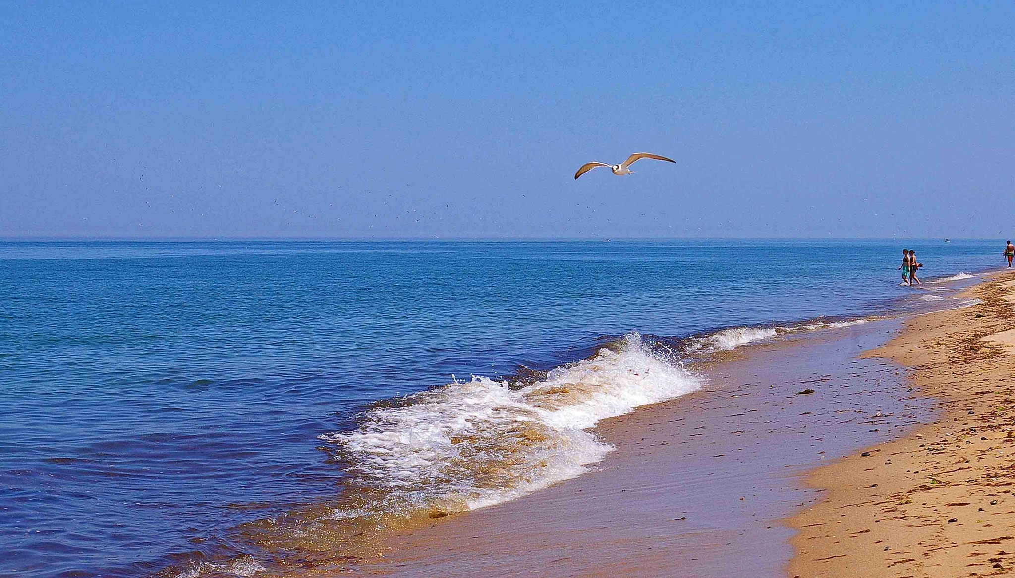 Tom - Cape Cod, Massachusetts | Facebook