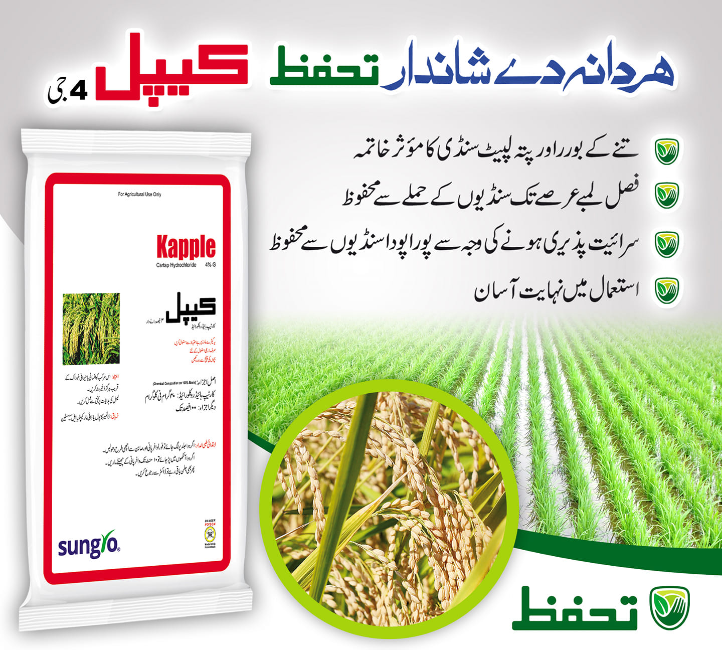 Sungro - Rice all kind of Borers best control #Kapple