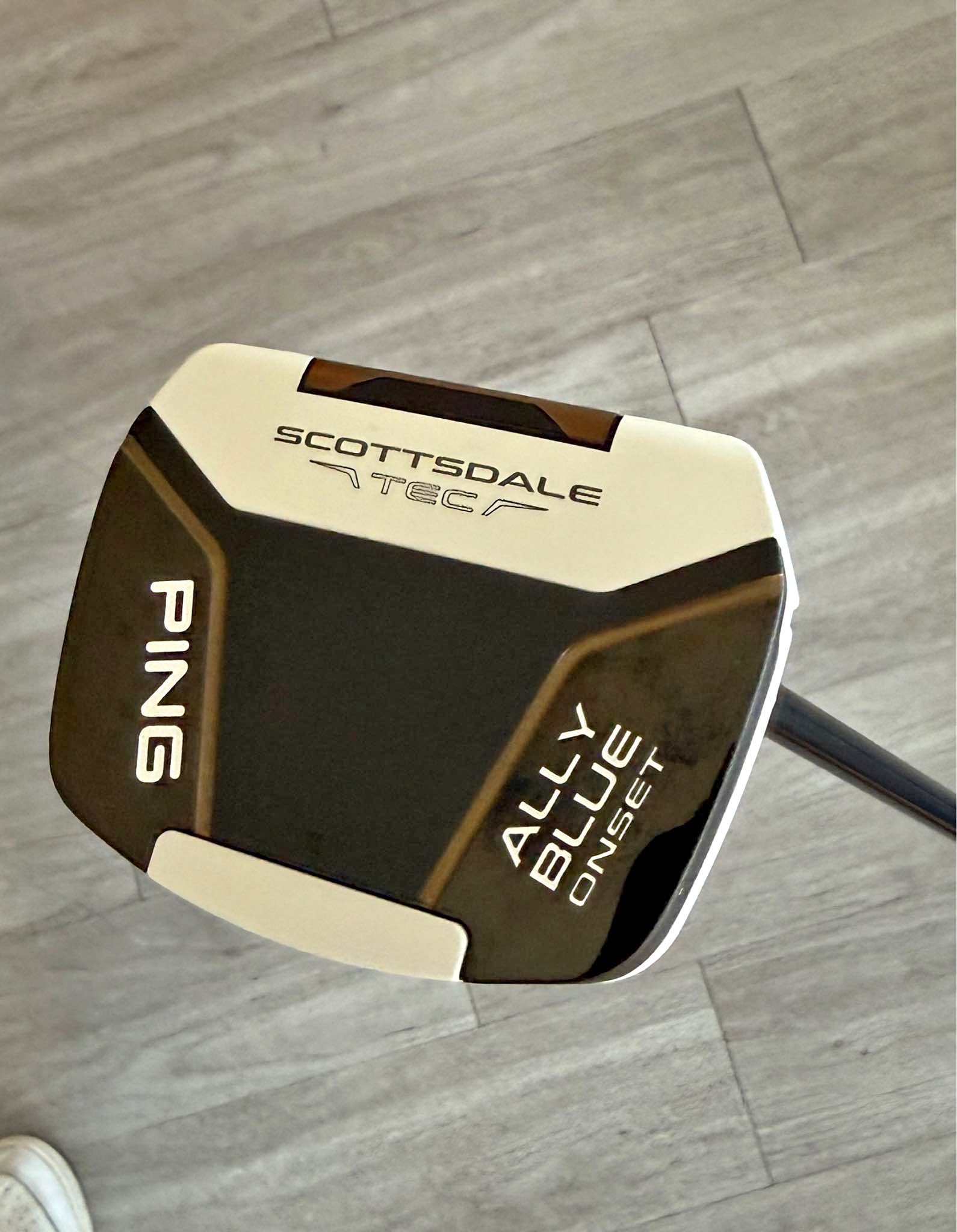 Ping Scottsdale TEC Ally Blue Onset Putter with Tour 3.0 Super 