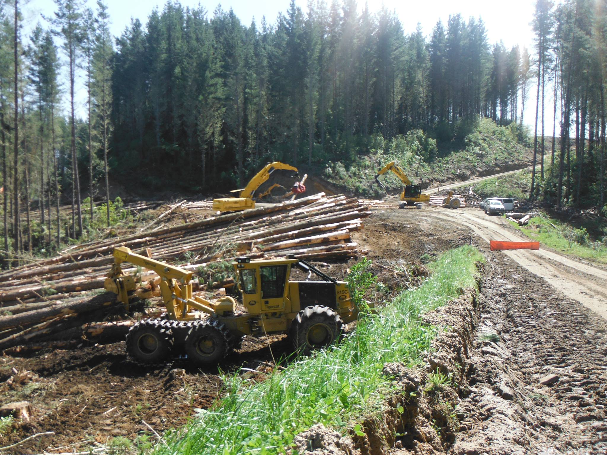 Sutherland Logging