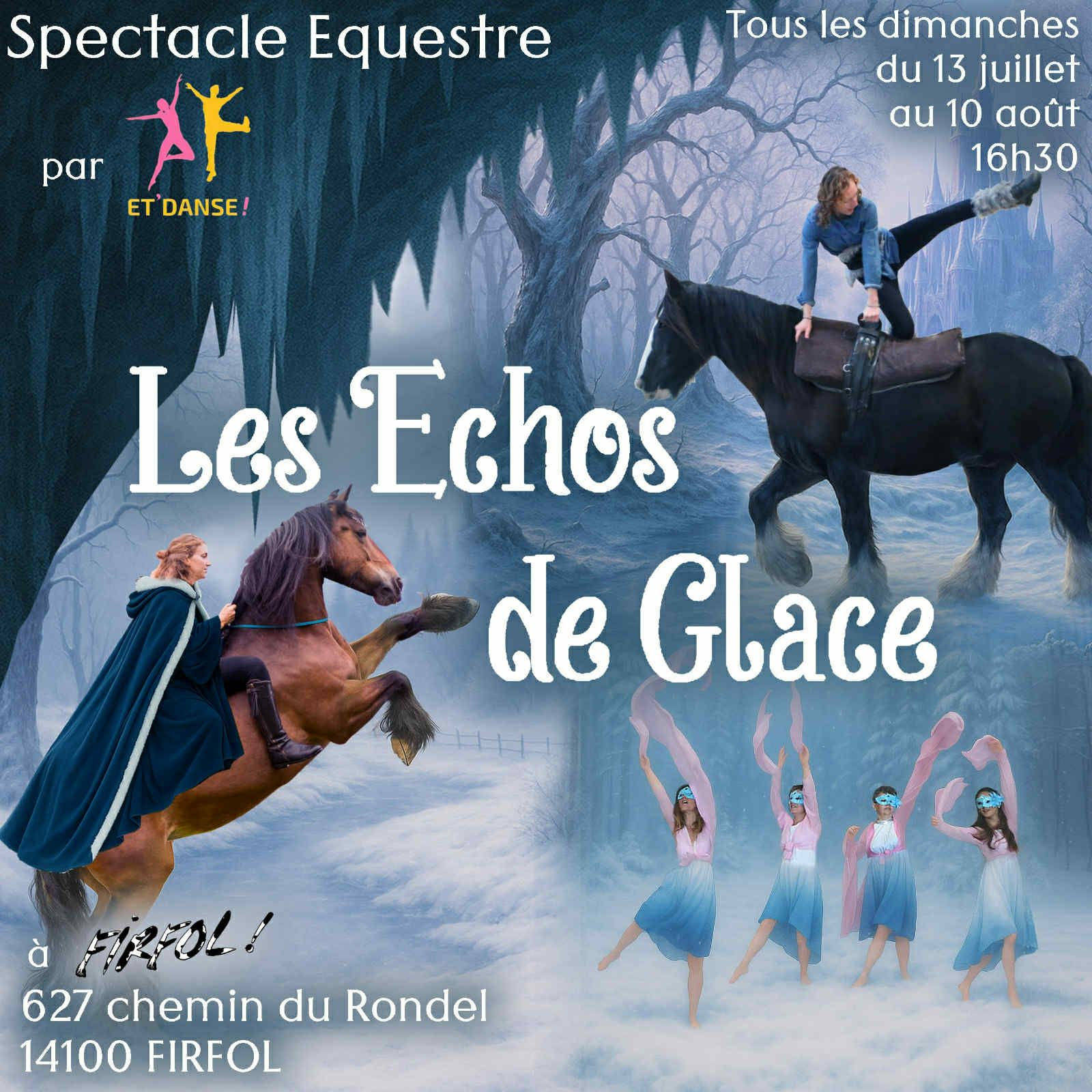 spectacle caritatif les Echos de Glace