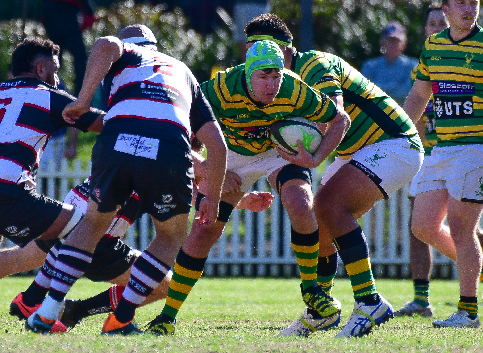 Gordon Rugby - The Highlanders