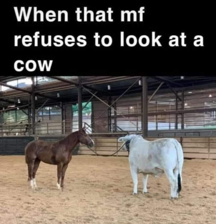Lariat Ranch
