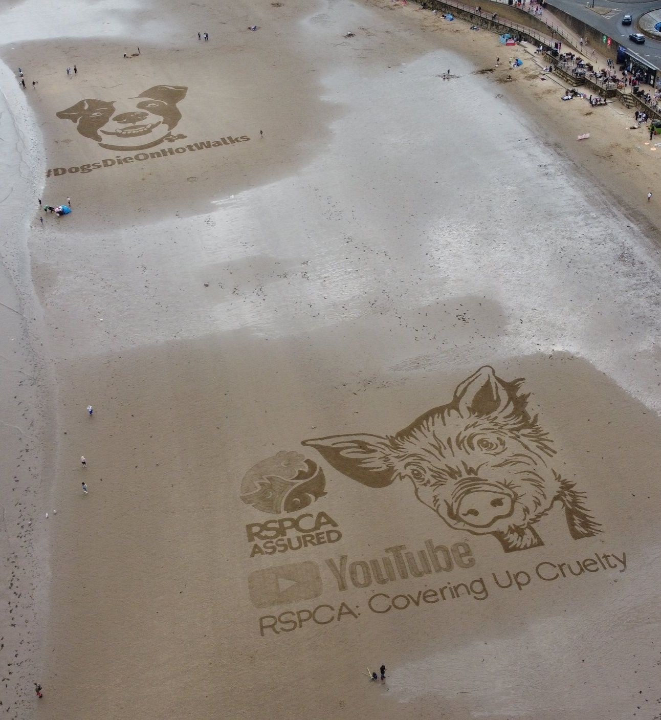 Fred - On this day last year I knew the RSPCA were having sand art ...