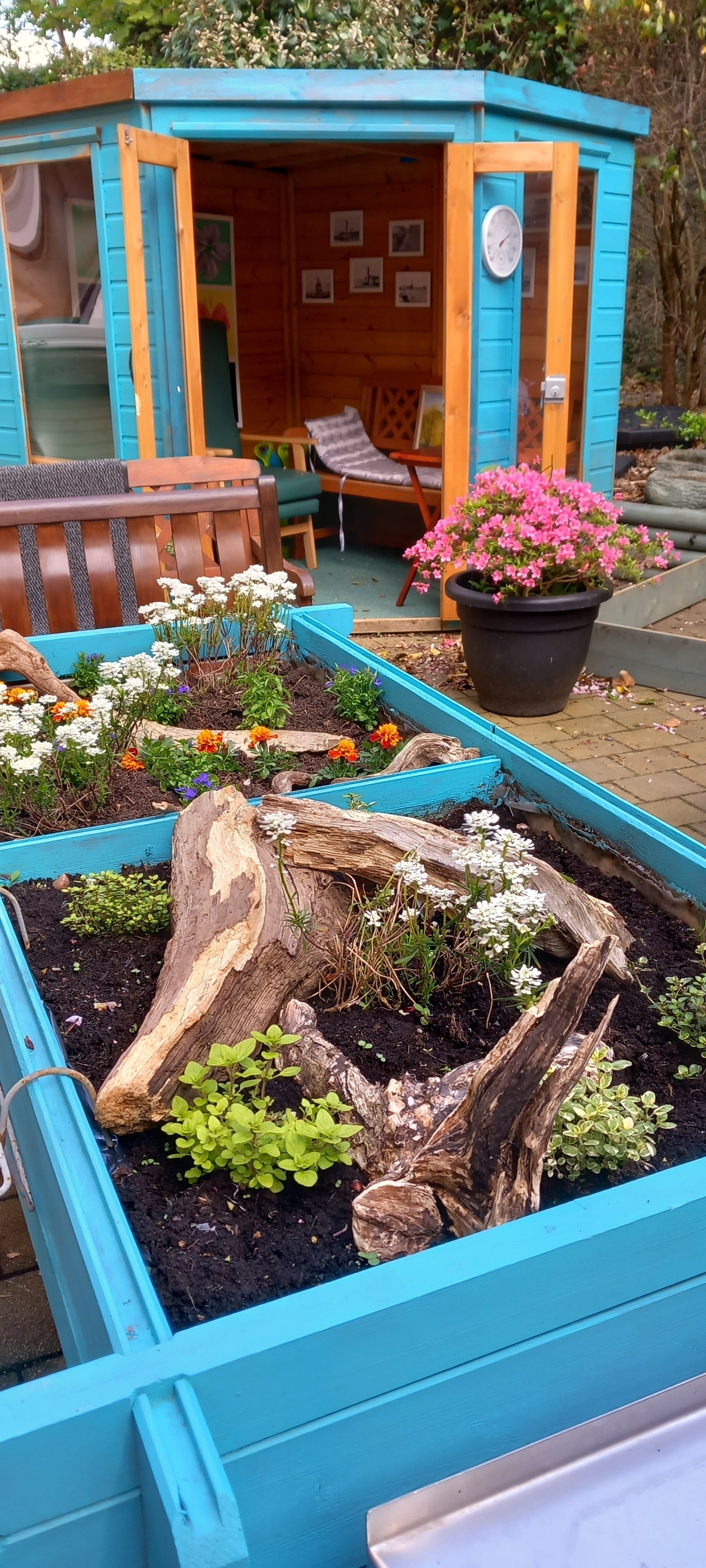 The Rowan Tree at Haylie Stores | Largs
