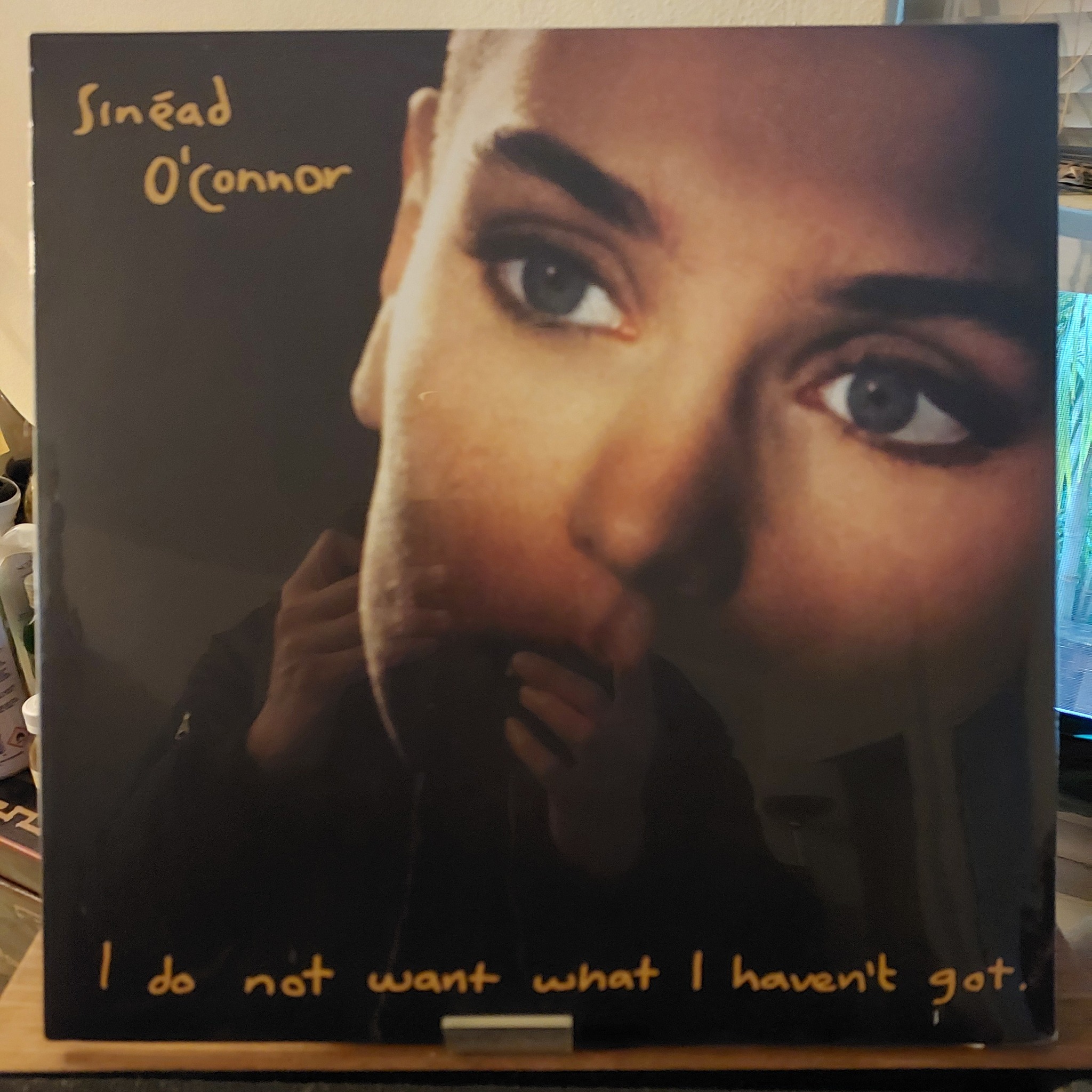 I Do Not Want What I Haven't Got - Sinéad O'Connor ( 1990