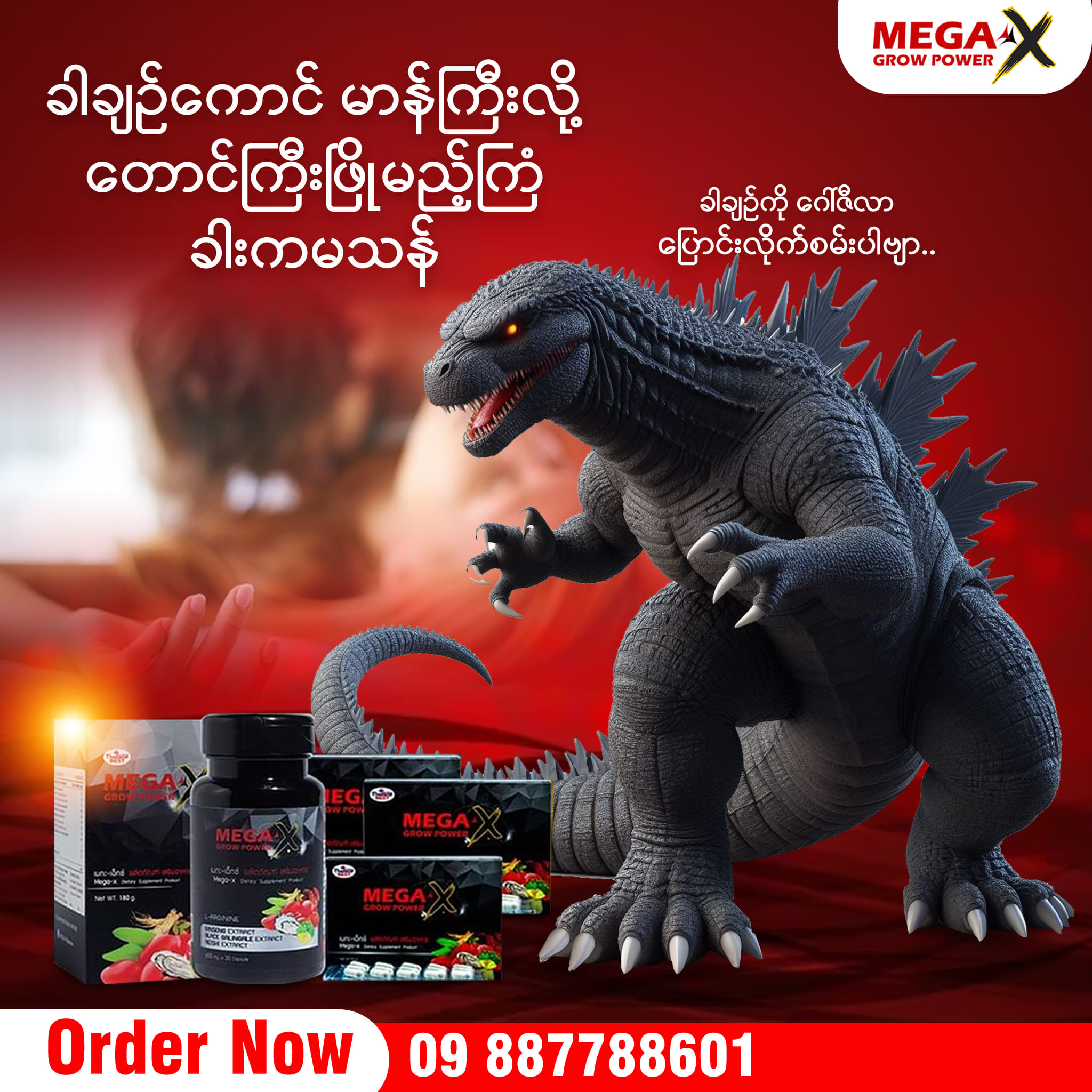MEGA X - Myanmar