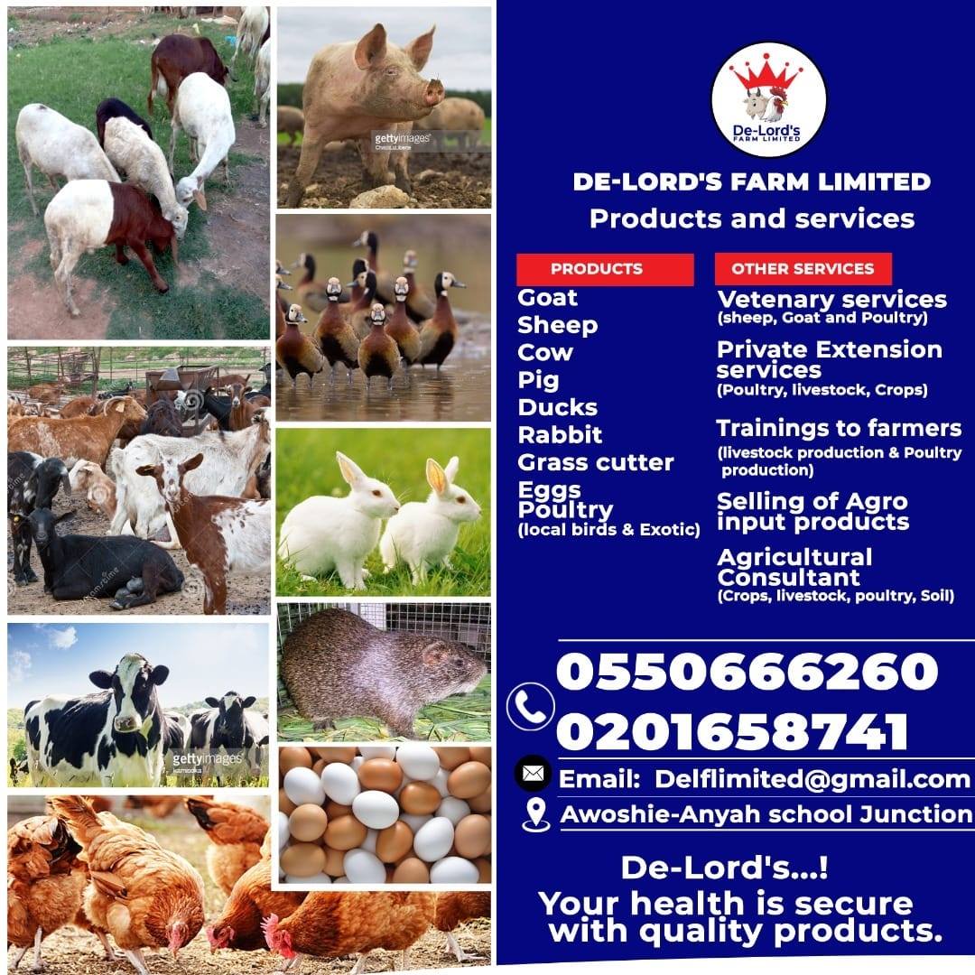 De-Lord's Farm Limited