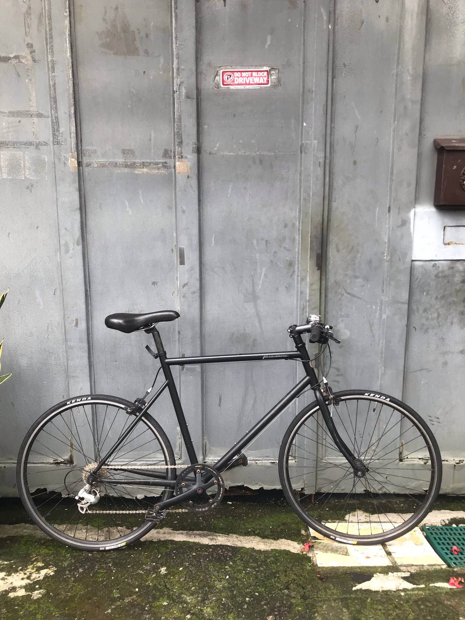 Tokyo Bike Sport Size Small (165cm-175cm) Steel Frame 9 Speed 