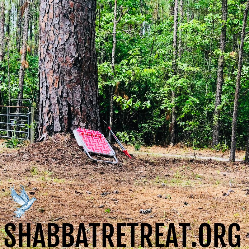 Shabbat Retreat - 👑 Behold! 👑 Look at the size of the Trunk on that ...