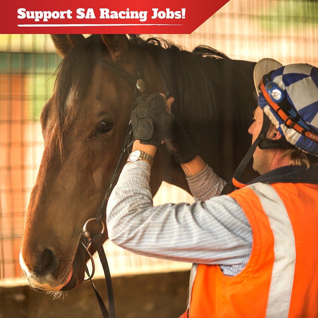 Support SA Racing Jobs