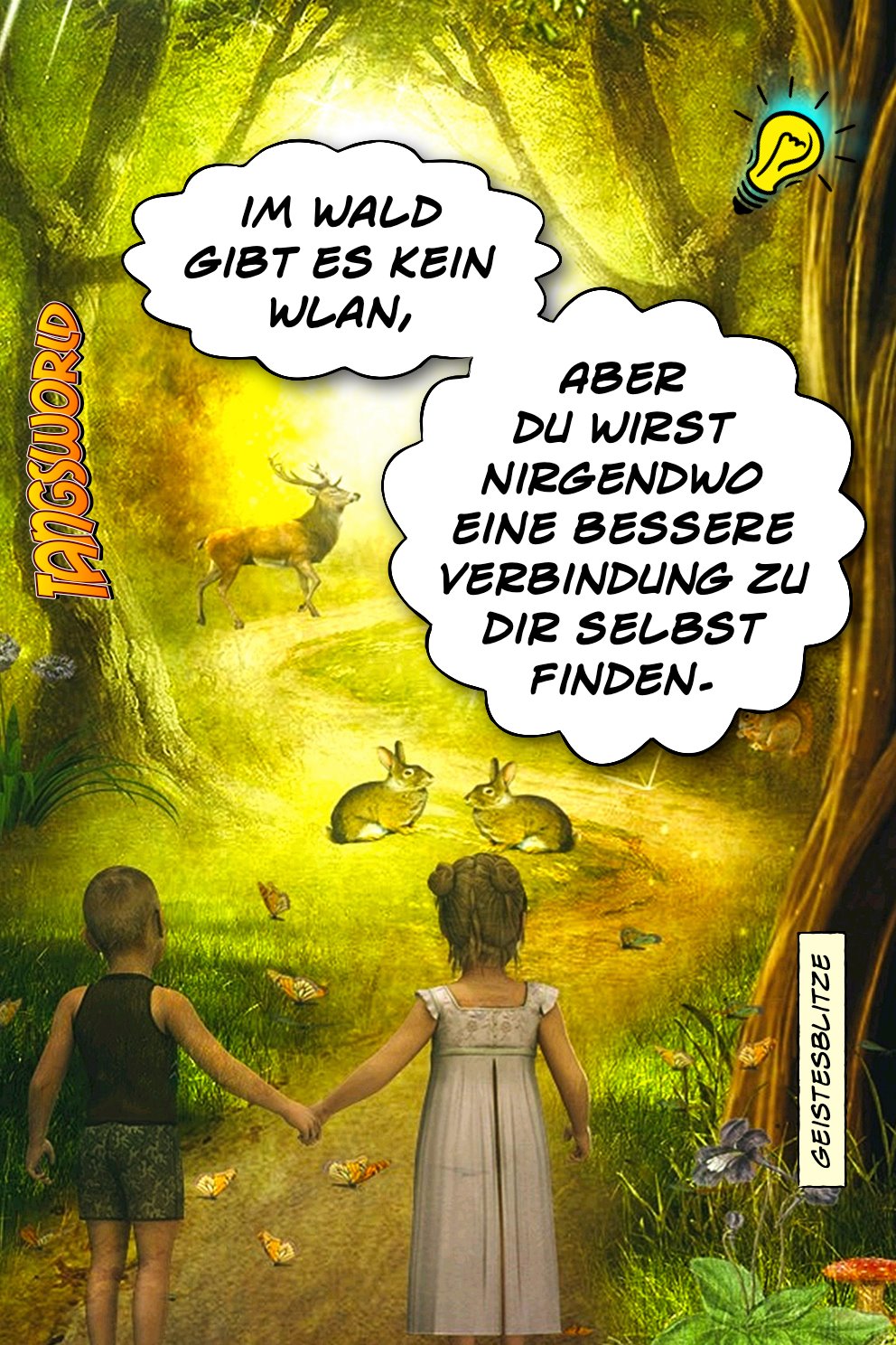 Tangsworld Kein Wlan Im Wald Geistesblitze Facebook