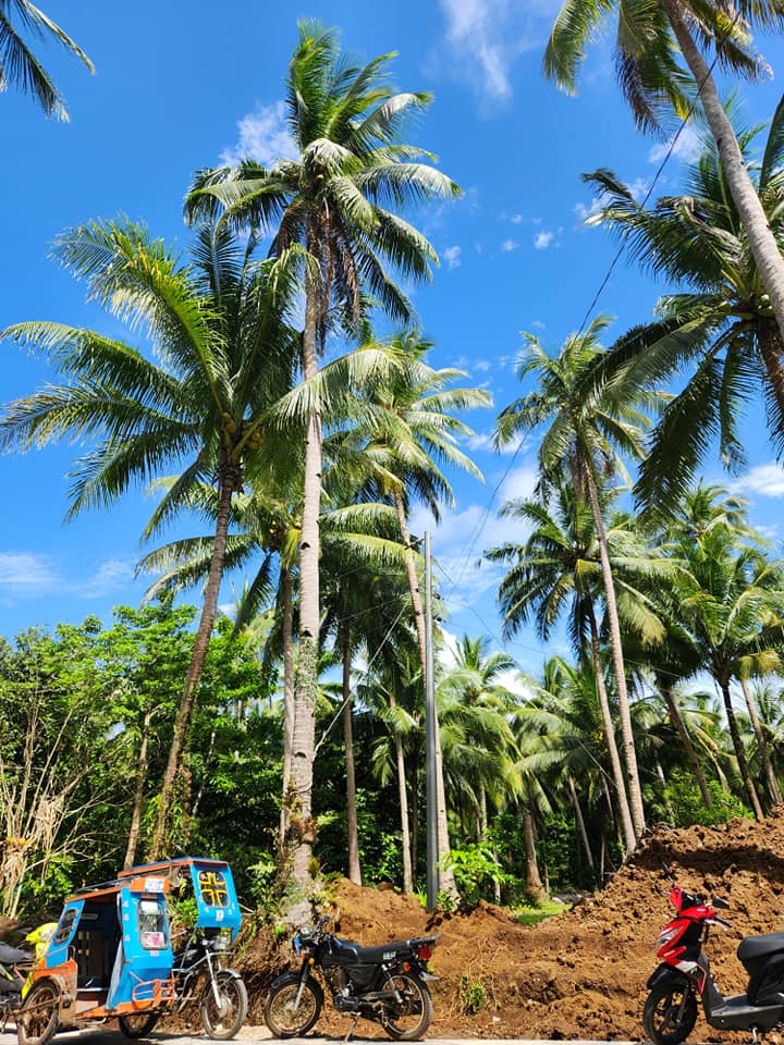 Sorsogon - Start the month right, as the mercury still sizles in the ...