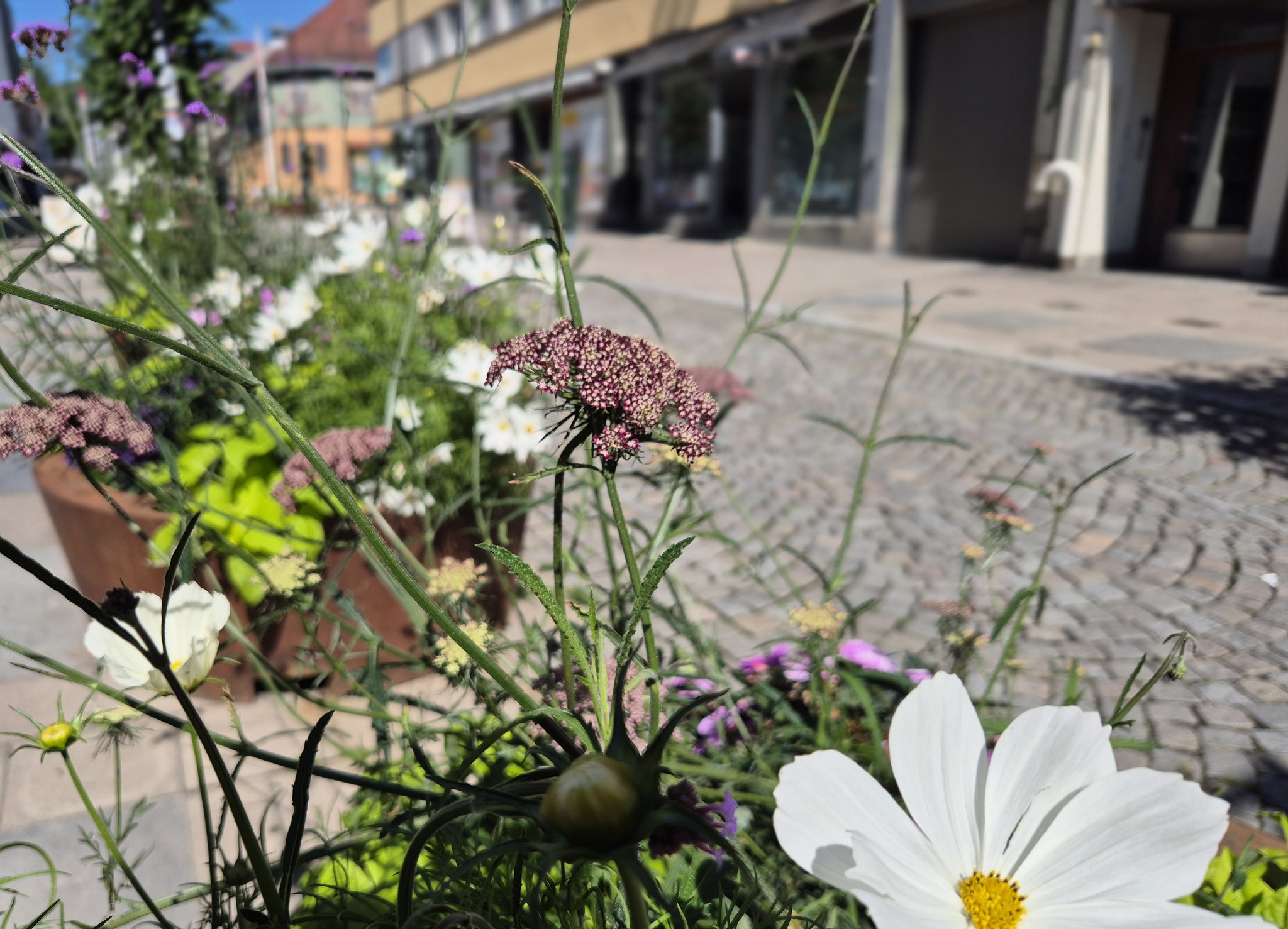 Åpent møte om byliv og aktive 1. etasjer i sentrum