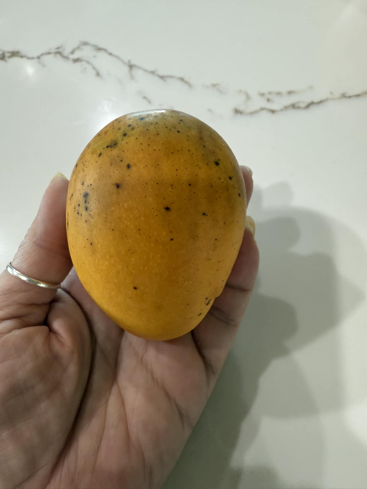 What variety is this small sweet mango on Big Island?