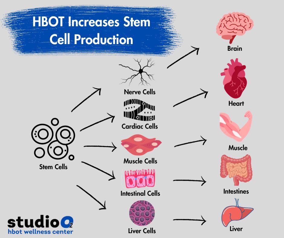 How does HBOT help? Well,... - StudioO2 HBOT Wellness Center | Facebook