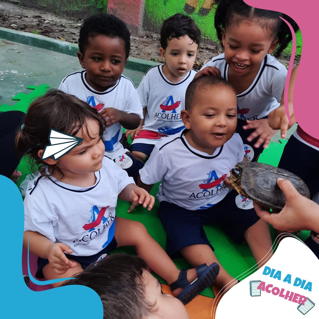 Escola Acolher - 😍 Unidade Turu 😍 🐢 Projeto Cantigas da...