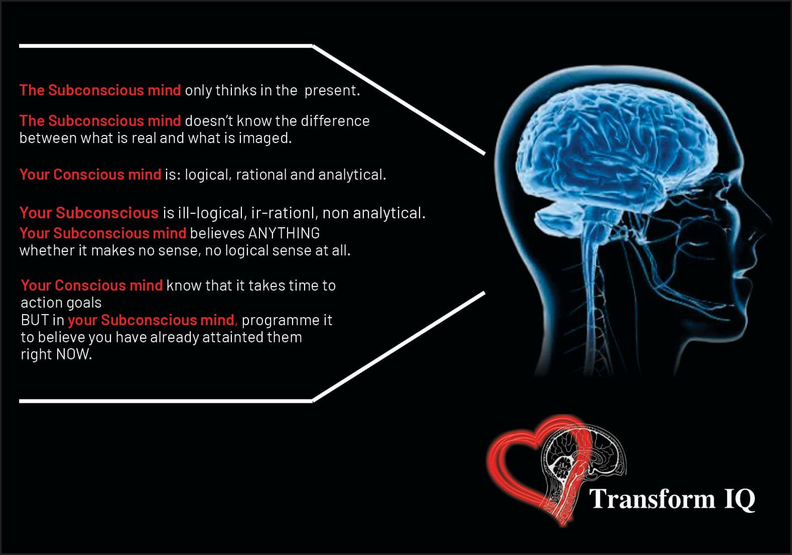 Transform IQ | Pretoria