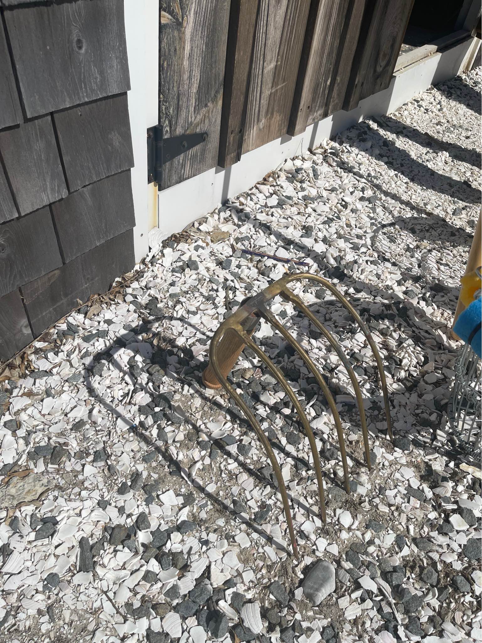 Clam rakes and baskets - Garden Tools & Equipment - Dennis ...