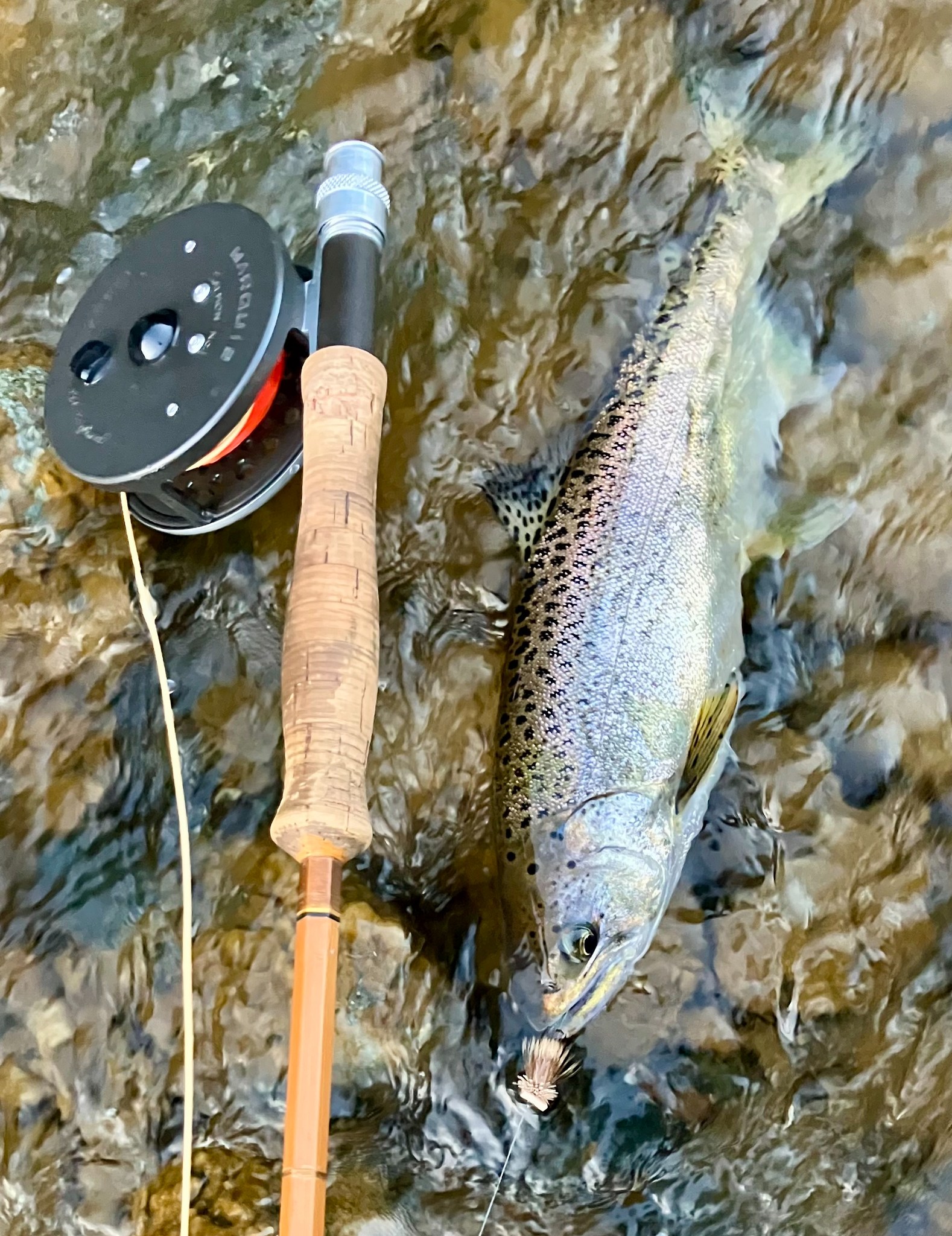 best fly trout reels Rivers The Best Trout Reel for