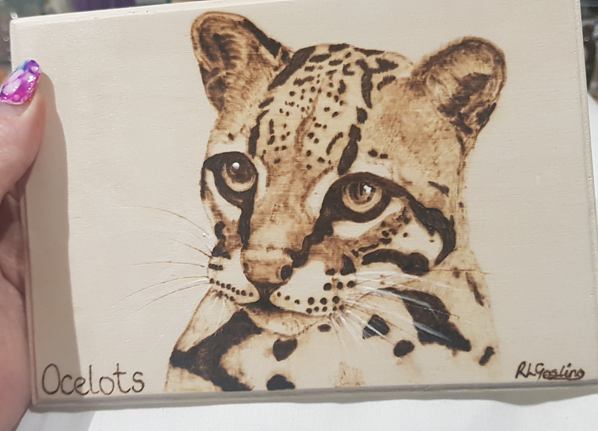 Ocelot Pride is with it's new owner - a little packaging art.