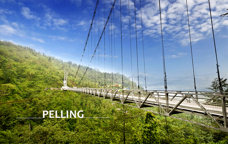 TravelGangtok - ::: Singshore Bridge Pelling :::... | Facebook