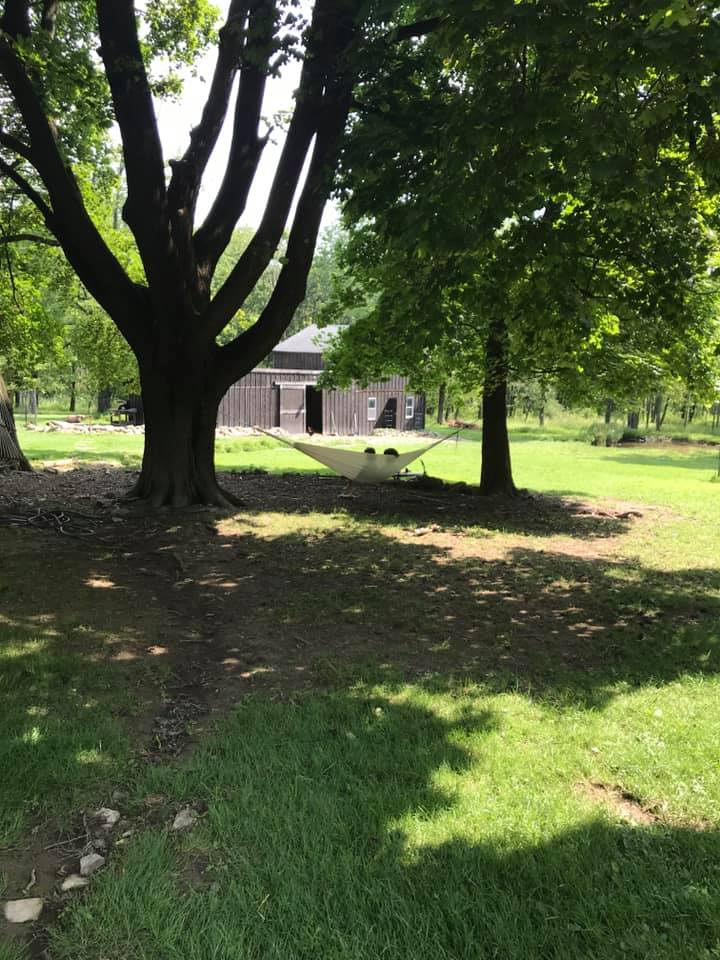 Timberfield Farm