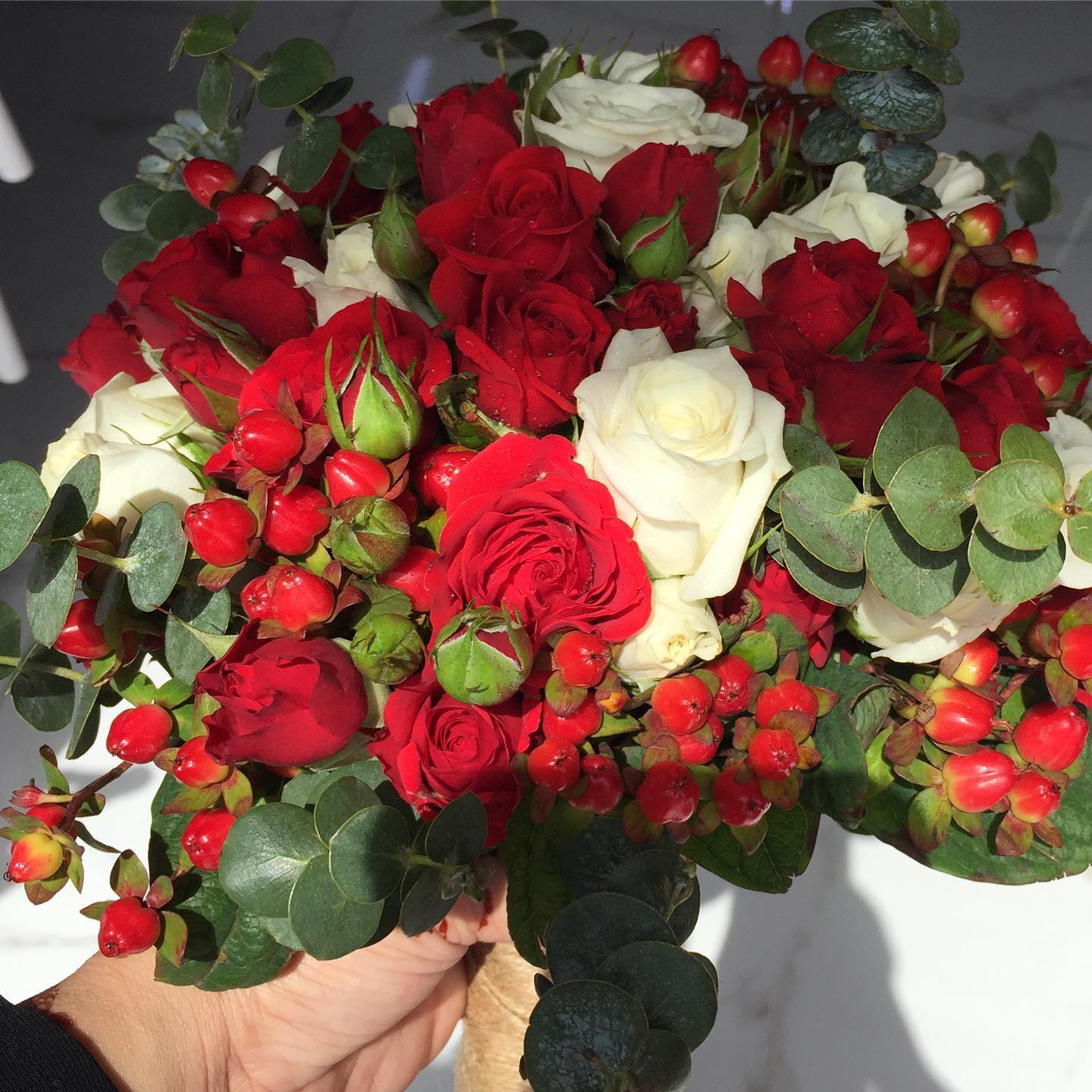 أبو روجينا للورود Abu Rujaina Flowers - #عمان #جسق #الخوض #مسقط #جلسات ...