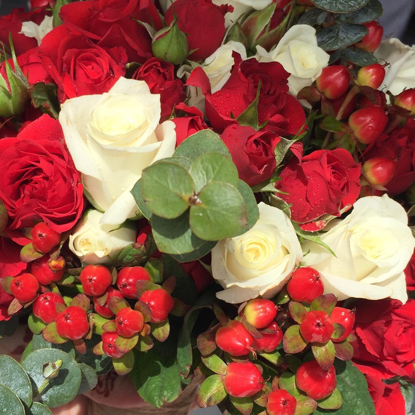 أبو روجينا للورود Abu Rujaina Flowers - #عمان #جسق #الخوض #مسقط #جلسات ...