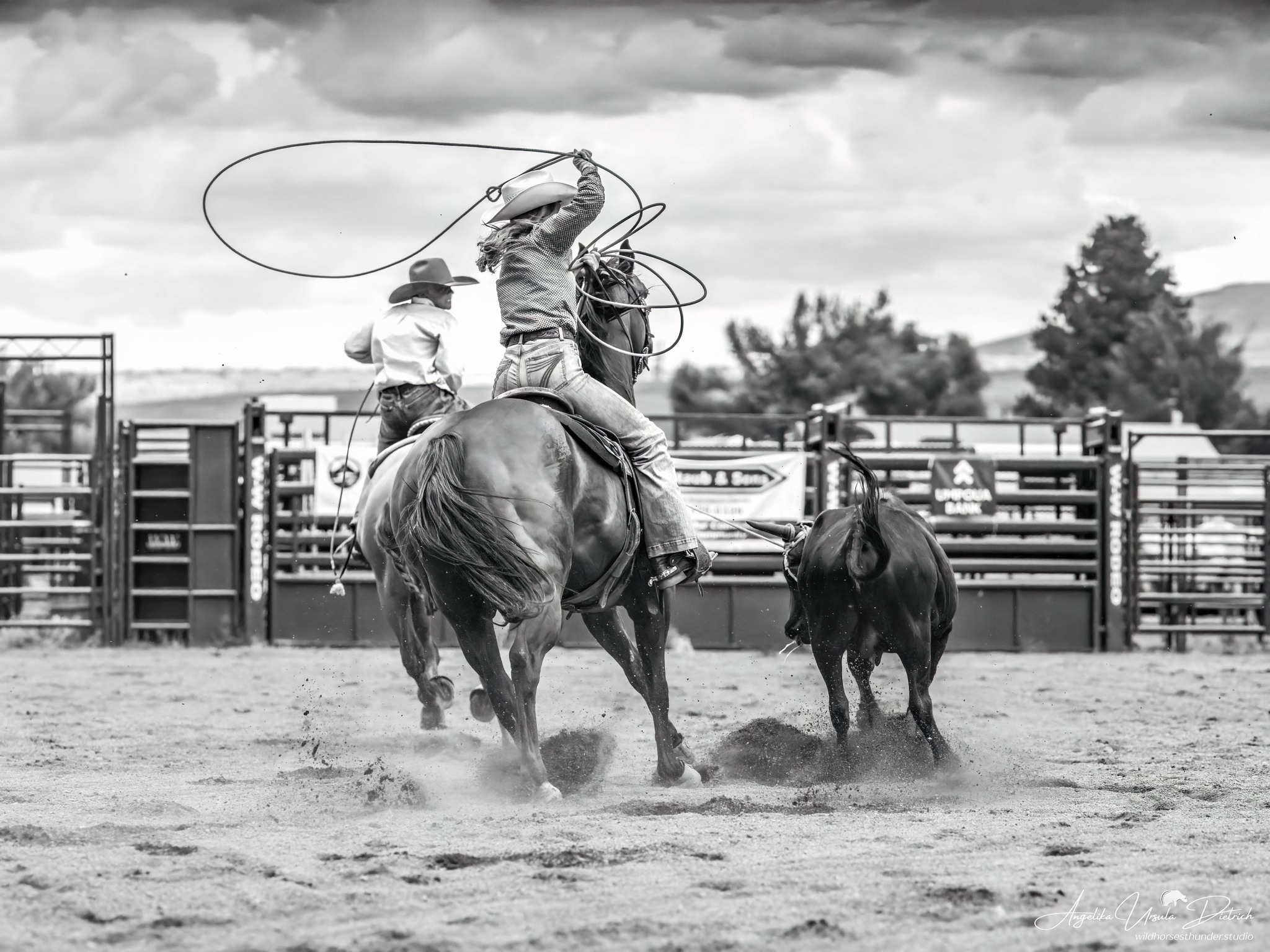 Angelika - Sometimes, the craft of roping is best captured in black and ...