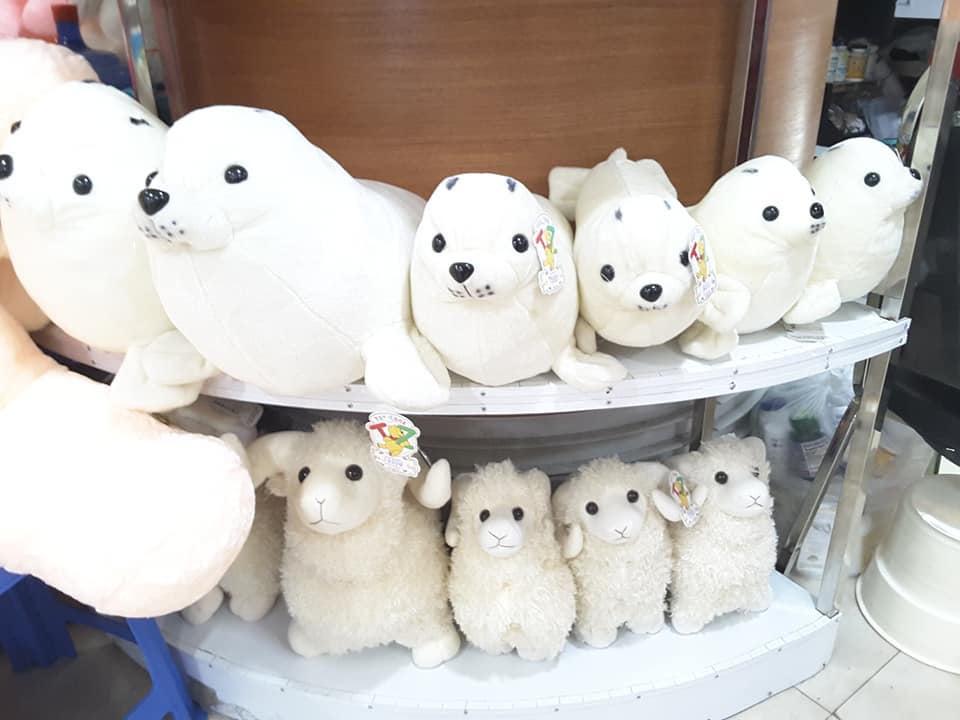 TOY ZONE SHOP | Yangon