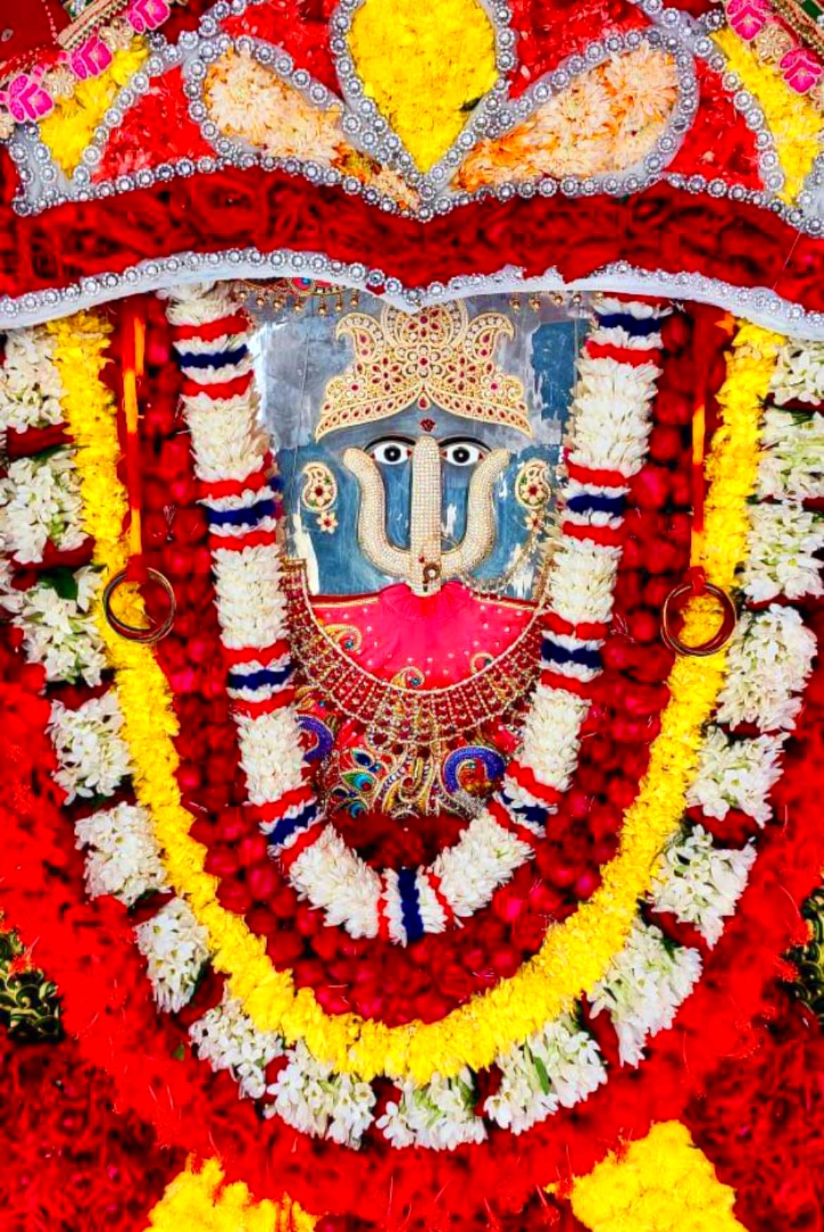 Kunwar Tejas Rana fans club