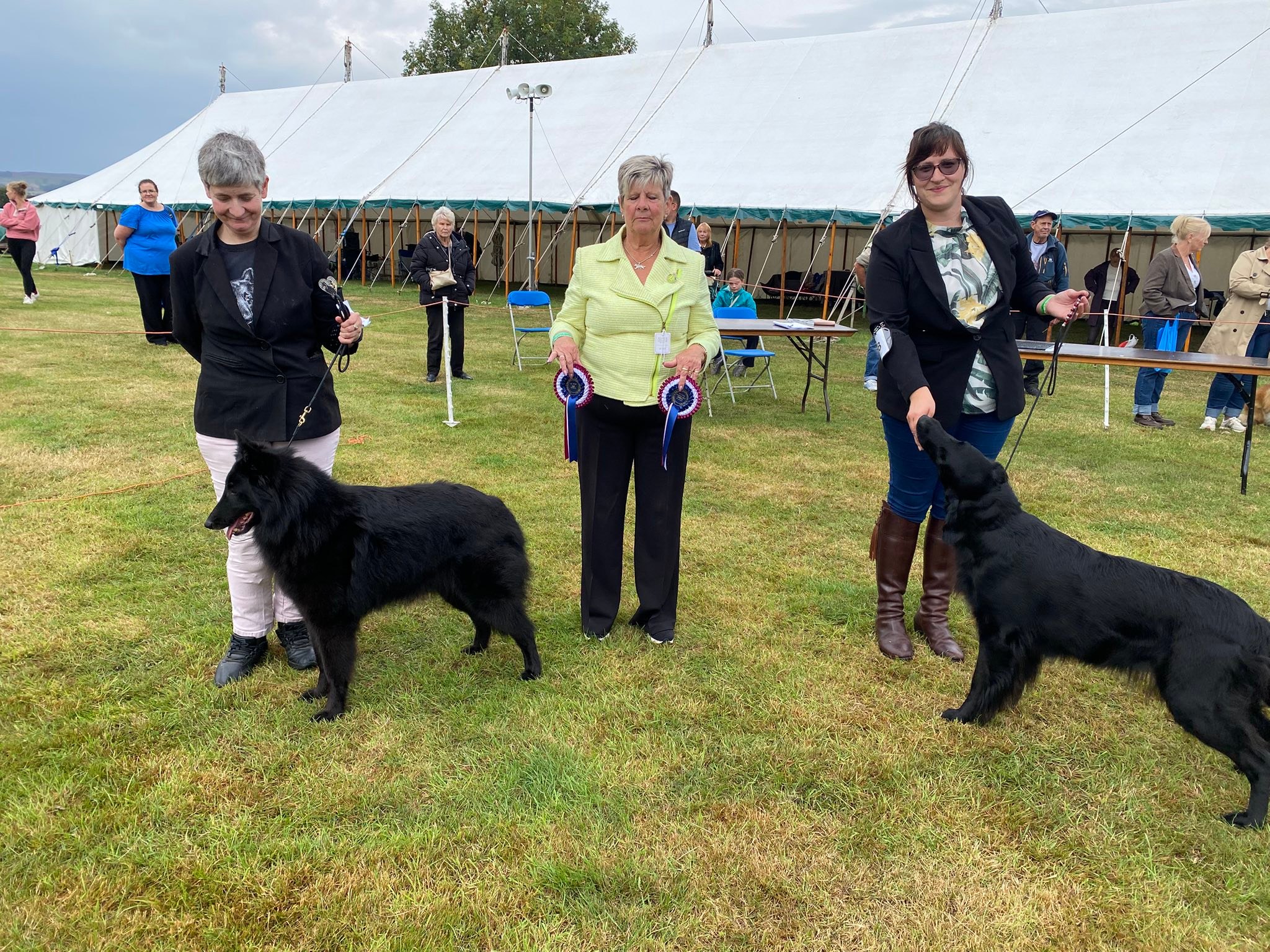 Wolsingham and Wear Valley Agricultural Show (KC Dog Section) | Facebook