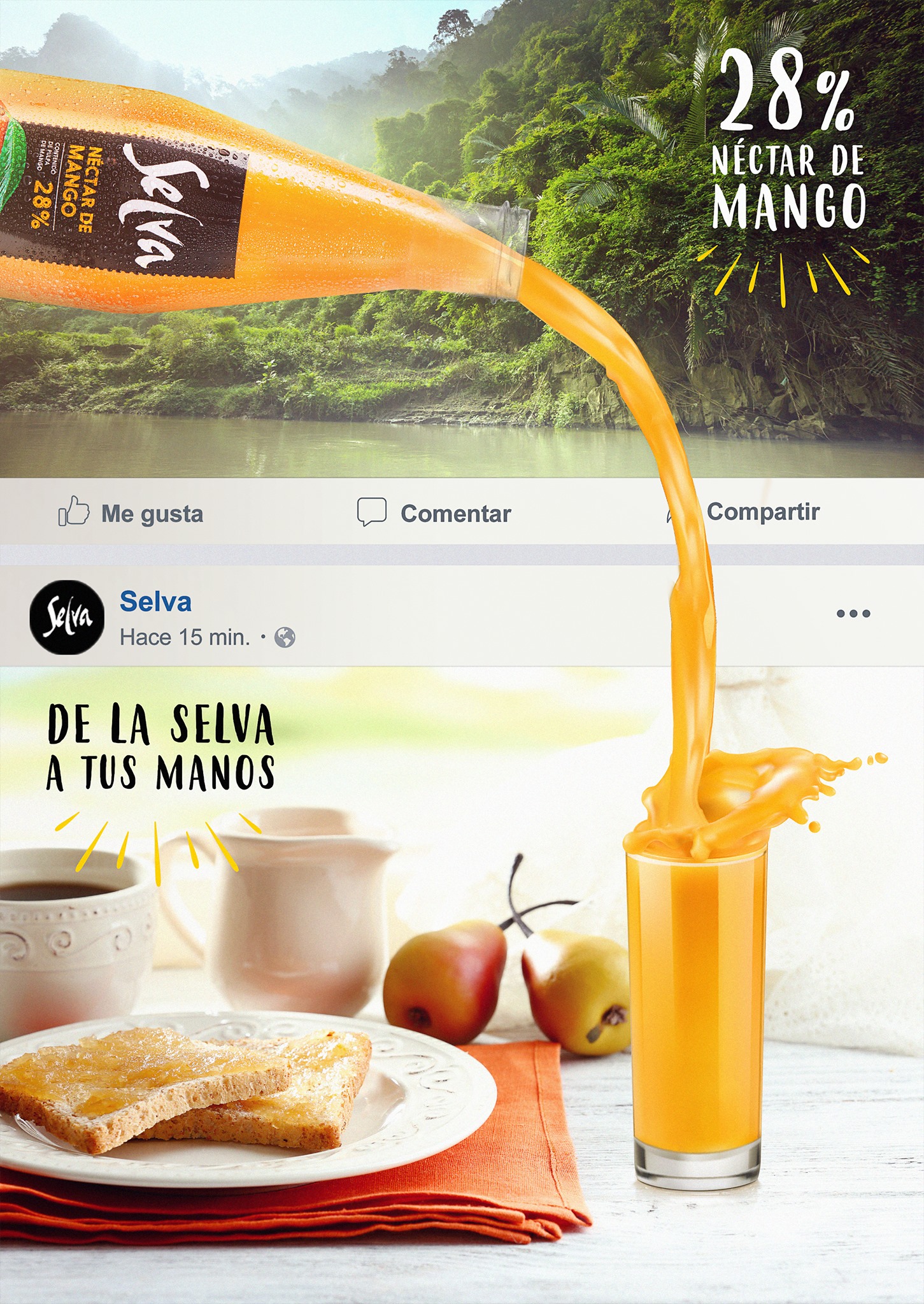Selva - 🔝 🍑 Nuestro néctar de mango cuenta con 28% de... | Facebook