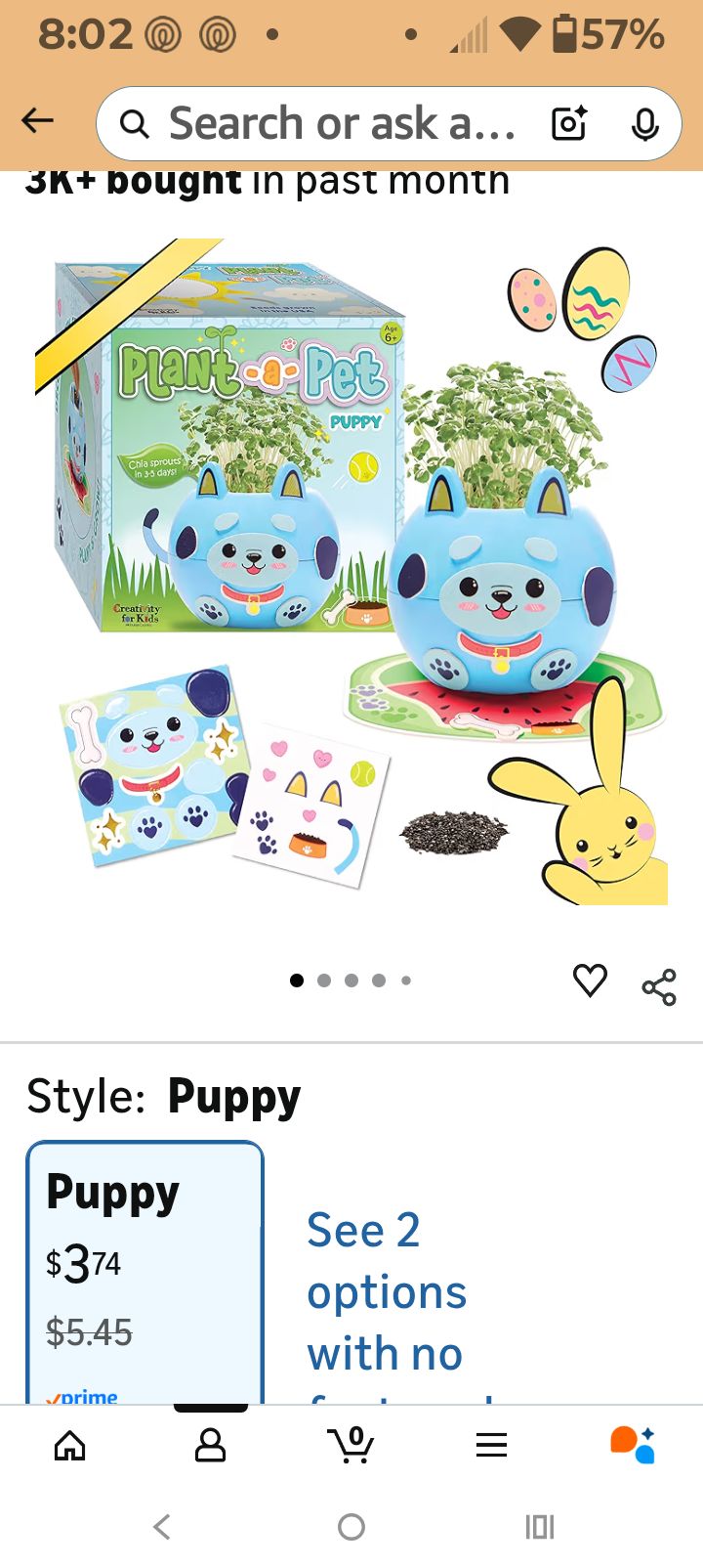 Who ordered the Pet Puppy Plane toy for my daughter?