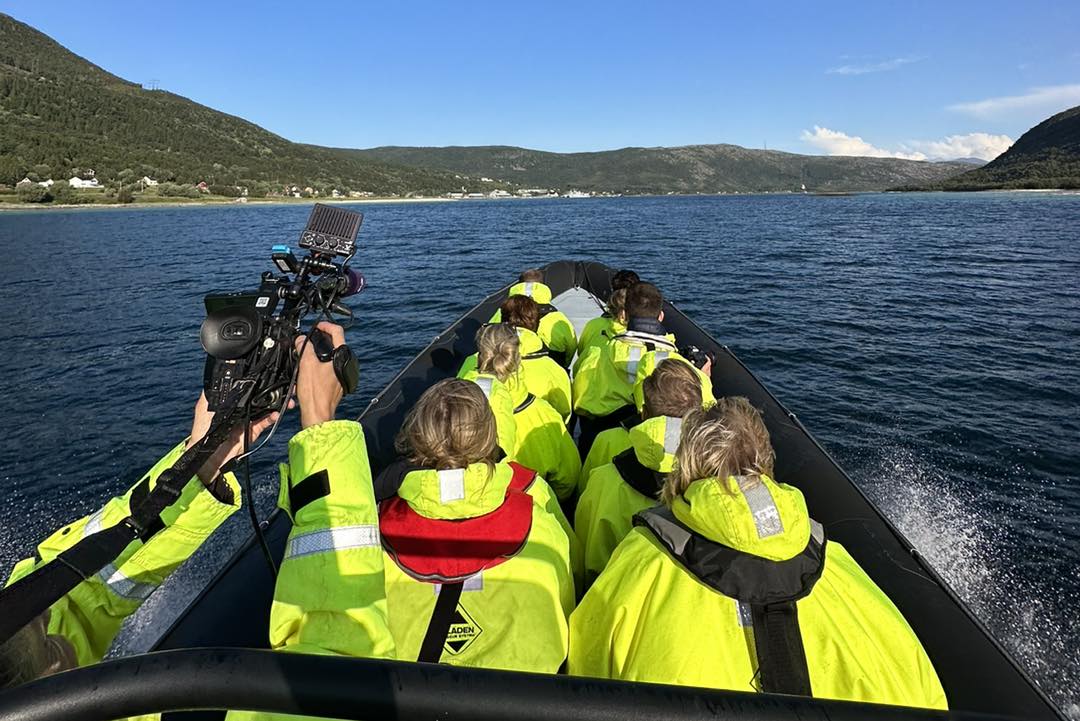 Rib Narvik | Narvik