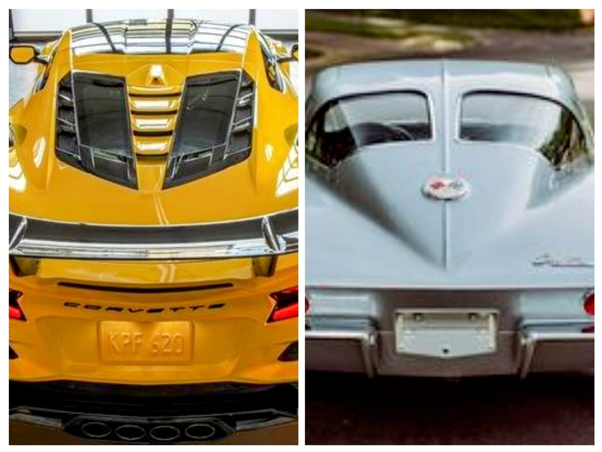 C8 Corvette, Z06 & ZR1 | I just realized the ZR1 has the split rear ...
