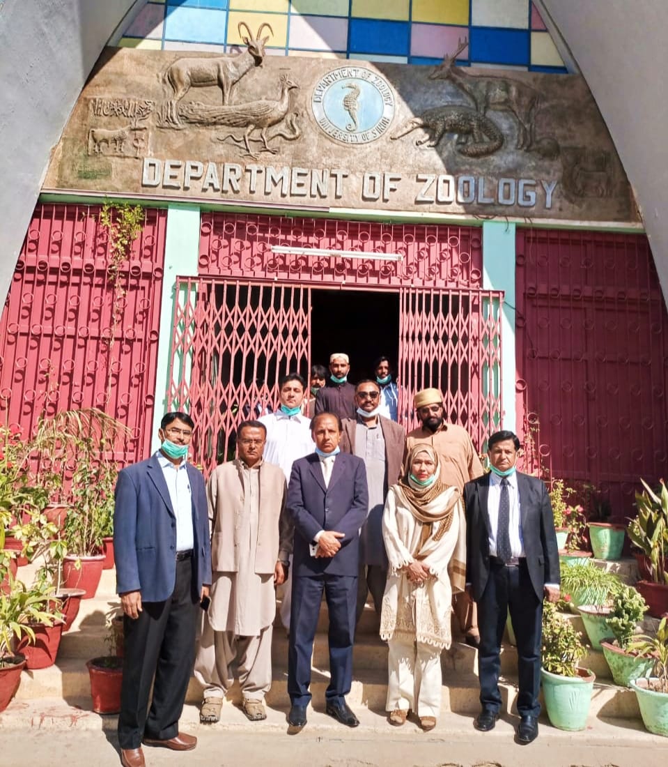 Zoology Department University of Sindh