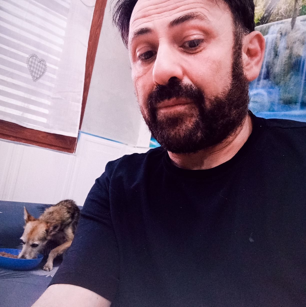buona-notte-e-buon-inizio-del-15-agosto-ciro-pelliccio