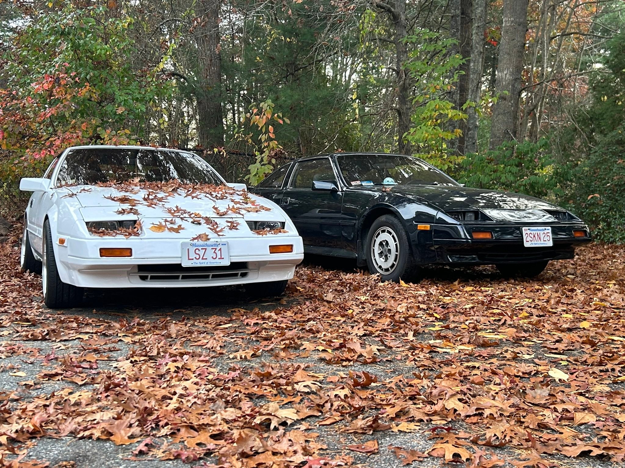 31♡ Dreams really do come true The Z31 is finally getting the