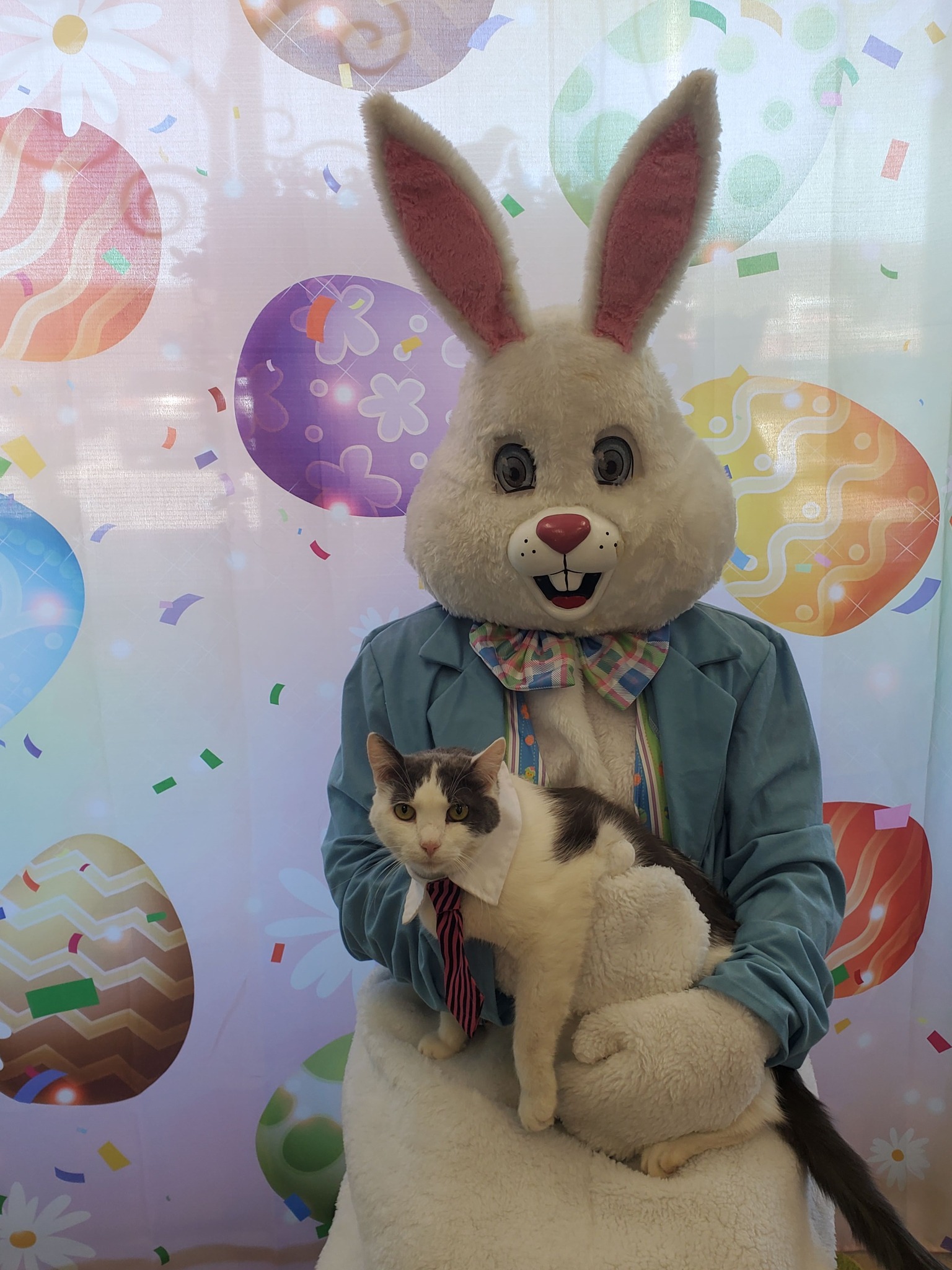 Easter Bunny Photo Shoot