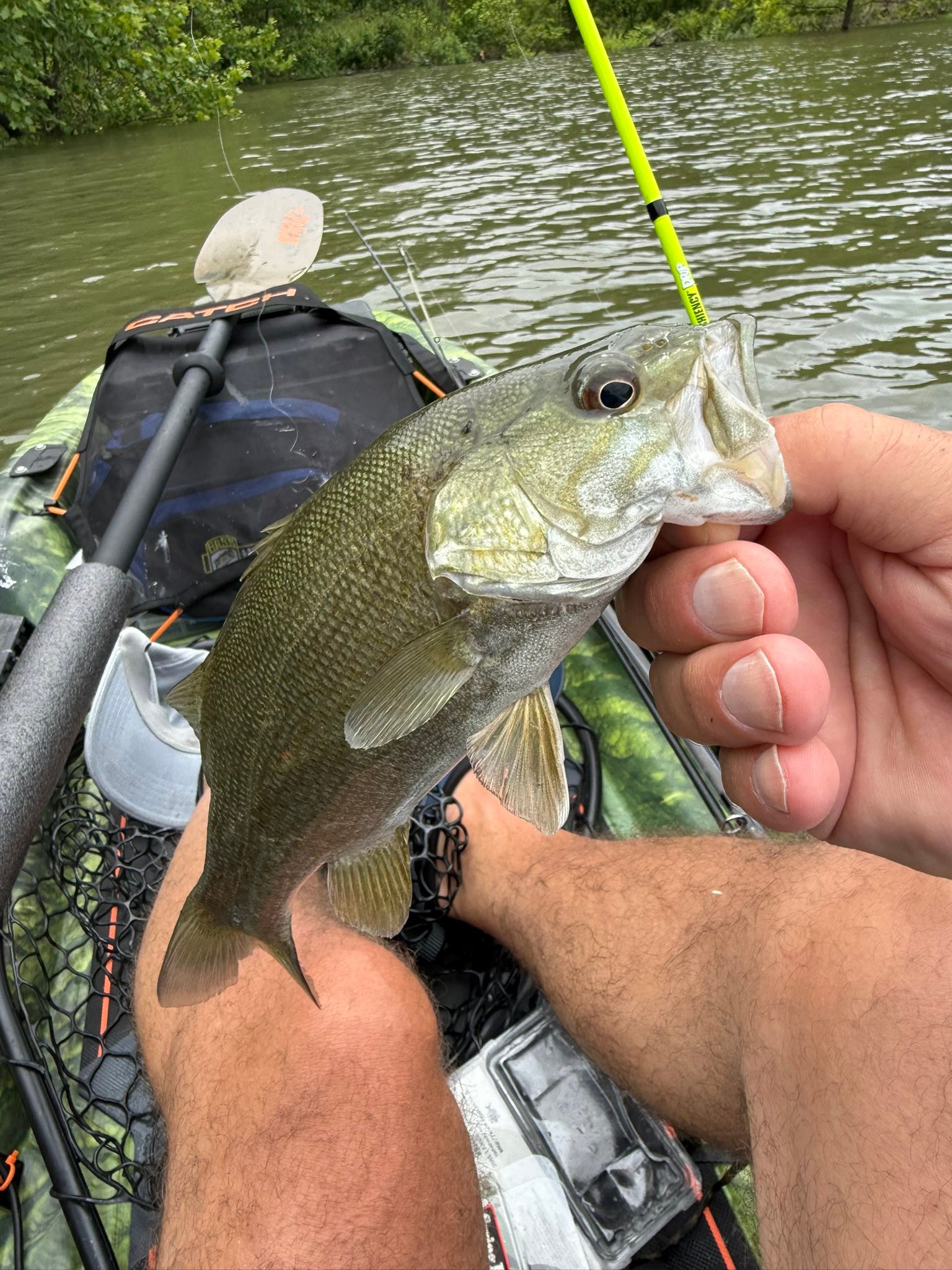best bass lures for skiatook lake Lazy Skimblades The top 5 best topwater