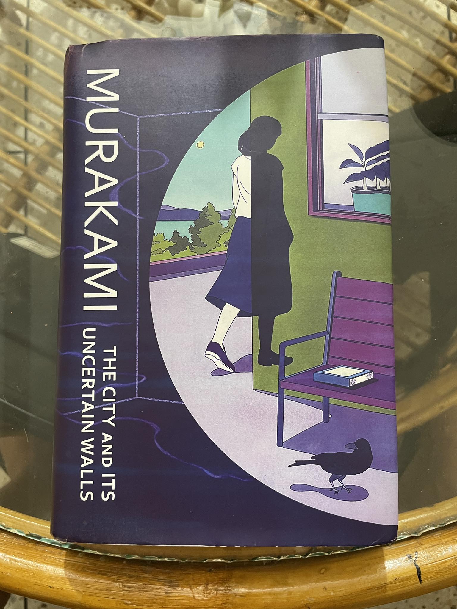 Minae Mizumura's 'A True Novel' review